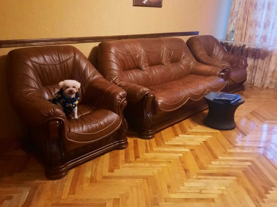 Видова_2-кім_77м2_ЦЕГЛА_вул.Паньківська_поруч_БОТАНІЧНИЙ САД_ГАЗ є Киев