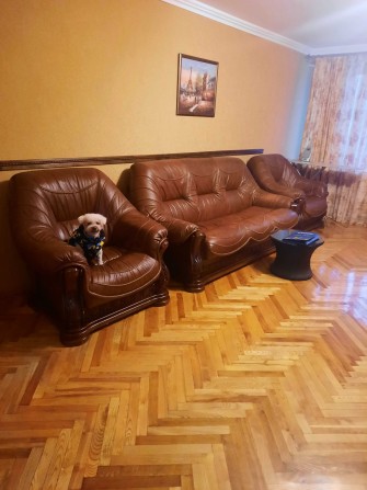 Видова_2-кім_77м2_ЦЕГЛА_вул.Паньківська_поруч_БОТАНІЧНИЙ САД_ГАЗ є - фото 1