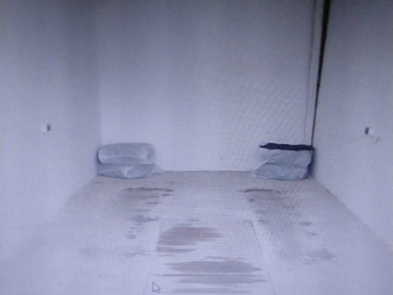 Здам гараж, кооператив «Киянка», від власника Київ