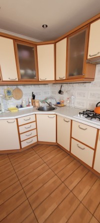 Виноградар,  Вітряні гори, Гамаліївська 36, Подільський район - фото 1