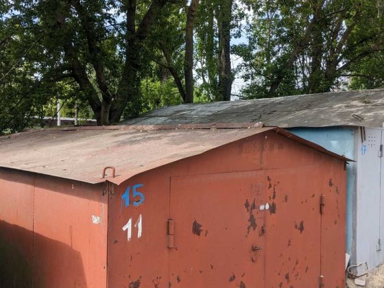 Олена 1976 Олена