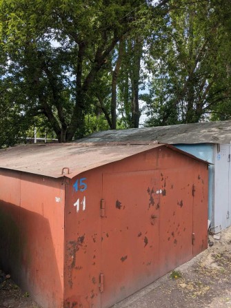 Олена 1976 Олена - фото 1