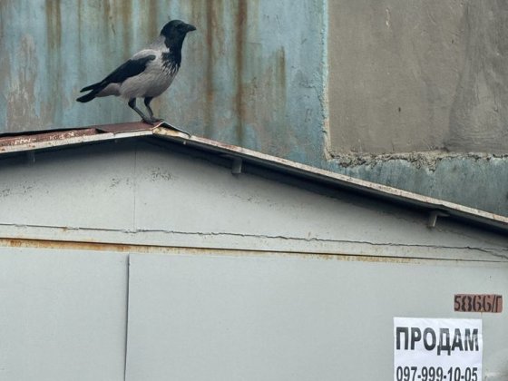 Продам гараж 16м2