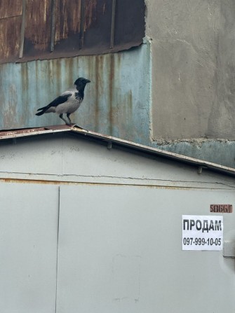 Продам гараж 16м2 - фото 1