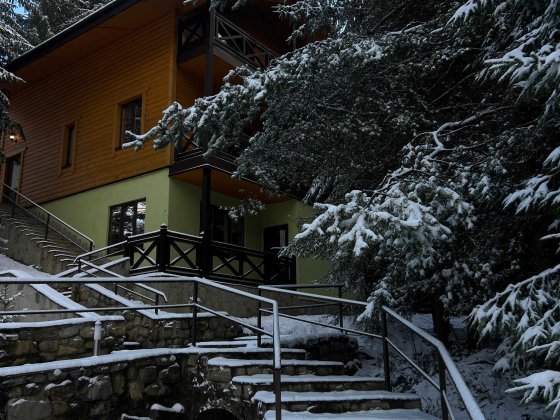 Оренда Котеджу Будинок від2 до 7 осіб с.Татарів Карпати Буковель 10 км Татарів