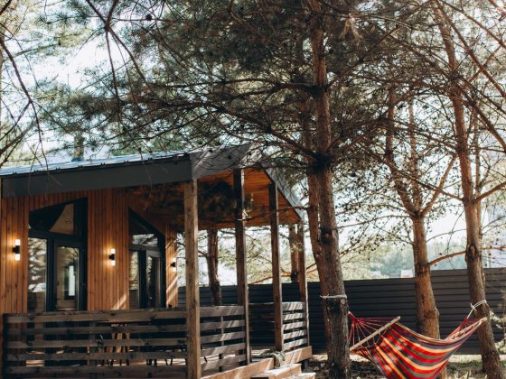 Котедж у сосновому лісі під Києвом. Камін. Вініл. Чан. Баня Ясногородка