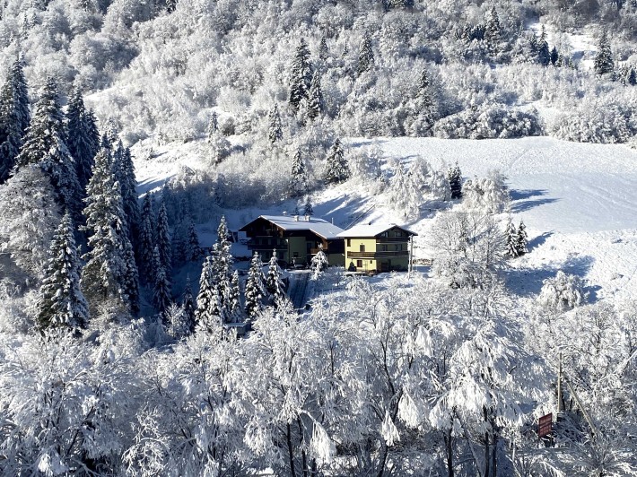 Лісова казка у пані Стефанії  Котедж , відпочинок в Карпатах, Славське - фото 1