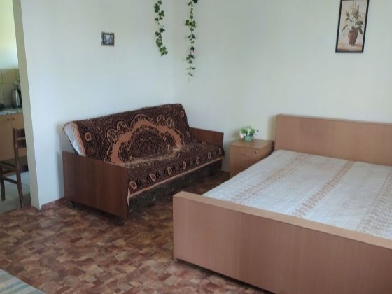 Здам квартиру  подобово у центрі, можливо для зустрічі Нового року Миргород