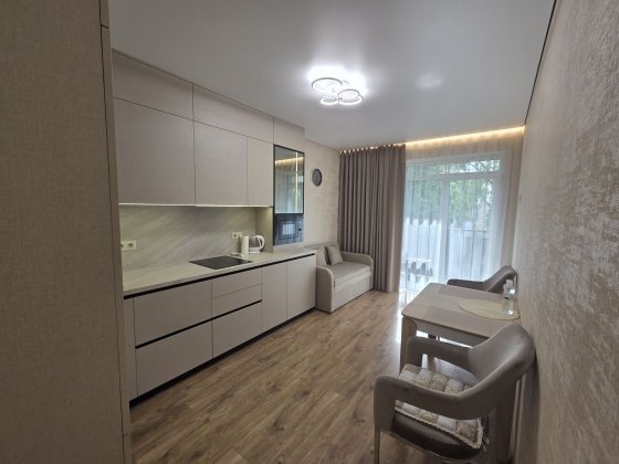 Подобова оренда квартири Трускавець platinum apar Трускавец