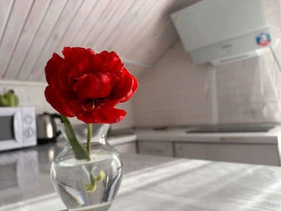 Подобова оренда житла УМАНЬ Умань