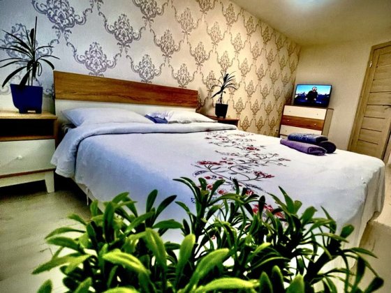 Вільна Центр потижнево подобово погодинно Ровно