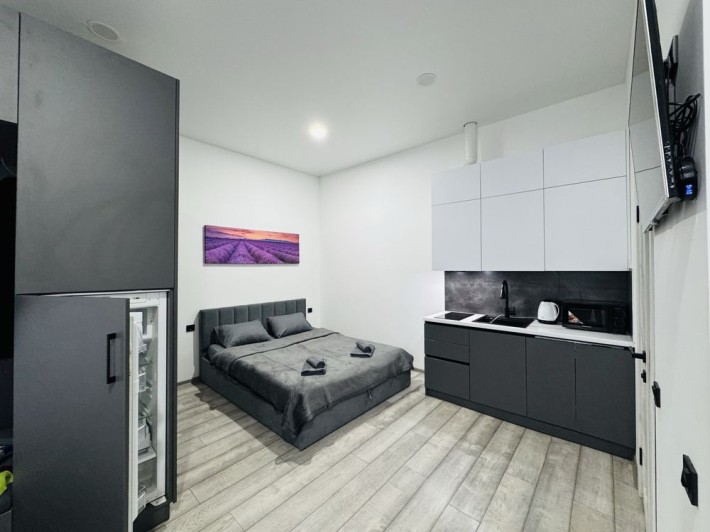 Подобова оренда квартири, центр. Світло є завжди. - фото 1