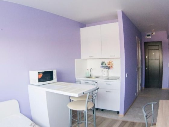 1 комнатные апартаменты посуточно, м. Берестейская Київ