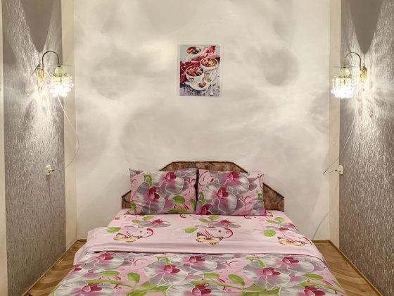 Центр. Ковалевка. Ж/д вокзал.Госпиталь. Автовокзал.Посуточно. Почасово Кропивницкий