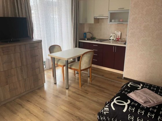 Квартира, апартаменты в Карпатах класса ЛЮКС, Економ або Комфорт.