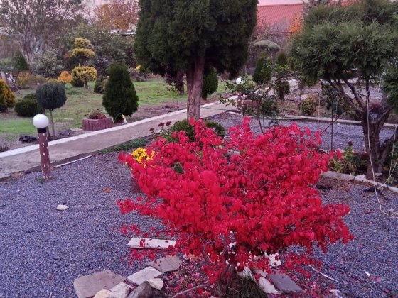 Сдам посуточно рядом универсам копейка рядом базар Фонтанка