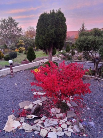 Сдам посуточно рядом универсам копейка рядом базар - фото 1