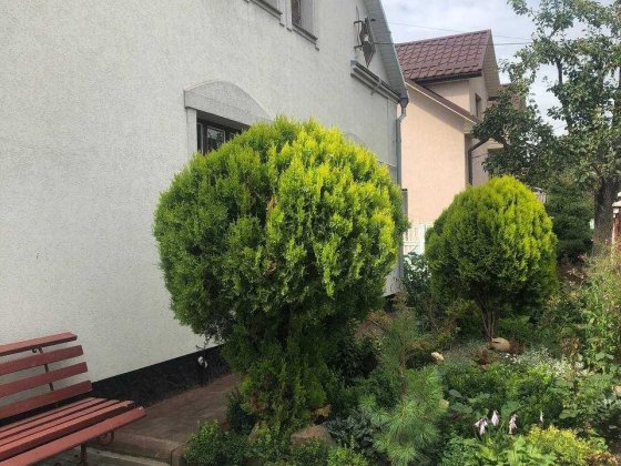 Здам в оренду місце в кімнаті для хлопця Ровно