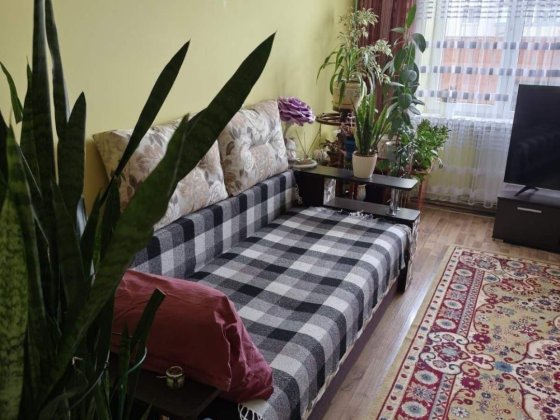 Здам кімнату без комісії Ужгород