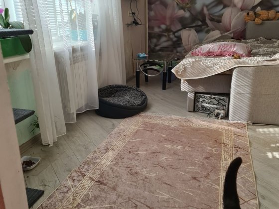 Сдам две смежные комнаты в трешке 3500 Запоріжжя