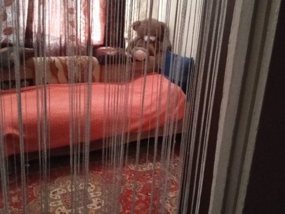 Возьму на квартиру девушку или студентов. Кропивницкий