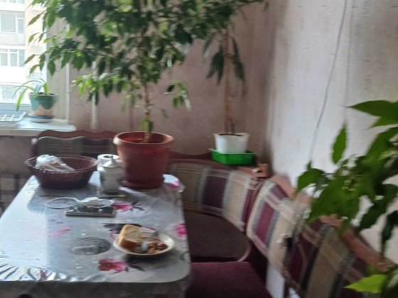 Сдаю в аренду комнату для девушки Космонавтов,ост Винграновского Николаев