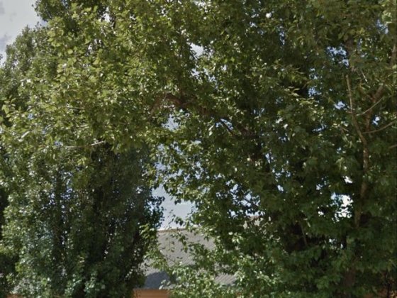 Сдам комнату с хозяйкой 1-й эт. (без комиссии)Лен поселок Одесса