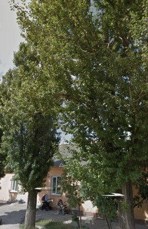 Сдам комнату с хозяйкой 1-й эт. (без комиссии)Лен поселок - фото 1