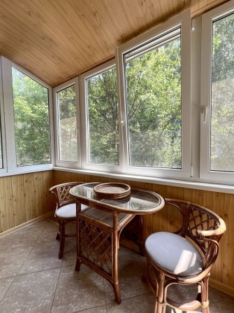 Оренда однокімнатної в центрі. Драмтеатр - фото 1