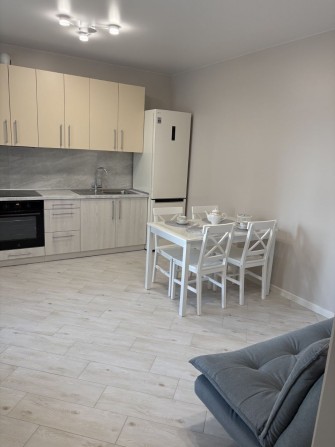 Оренда 1-кімнатної квартири в Академічному - фото 1