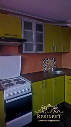 Аренда сдам видовая квартира Пр. Науки, р-н Подстанции, Дафи, 5/16 - фото 1