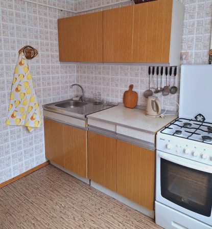 Оренда однокімнатної квартири Вишенька Василя Порика Маяк. 34-35школа - фото 1