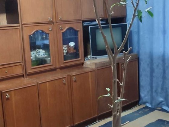 с 30.12 Аренда 1 ком.кв. ул.  Европейская Запорожье