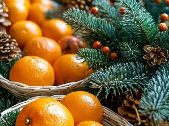 Оренда гарної 3-х кімн.квартири з автономним опаленням . Житомир