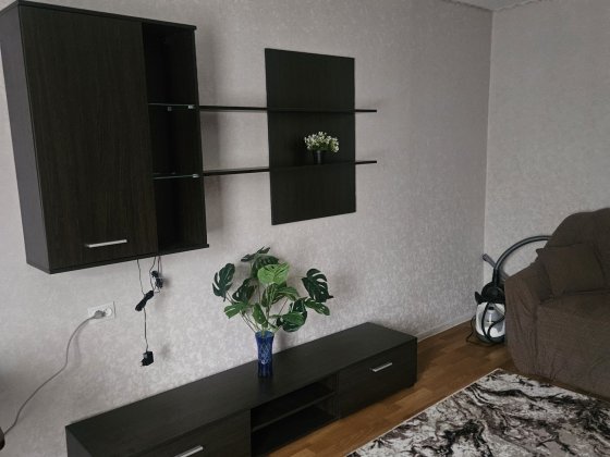 Сдаю  1к  квартиру  на Беляева  с автономным  газовым отоплением Кропивницкий