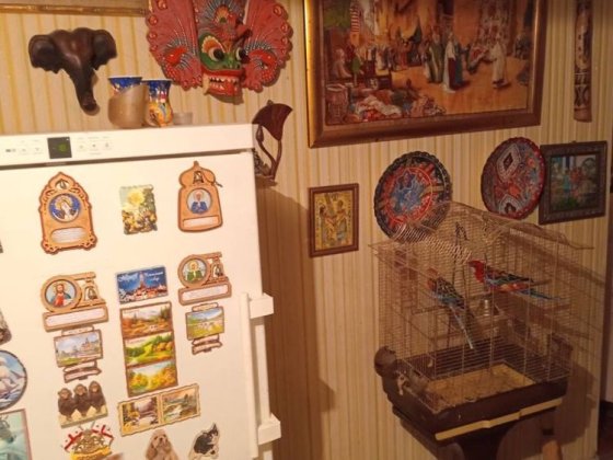 Сдам свою 2 комнатную квартиру Харків