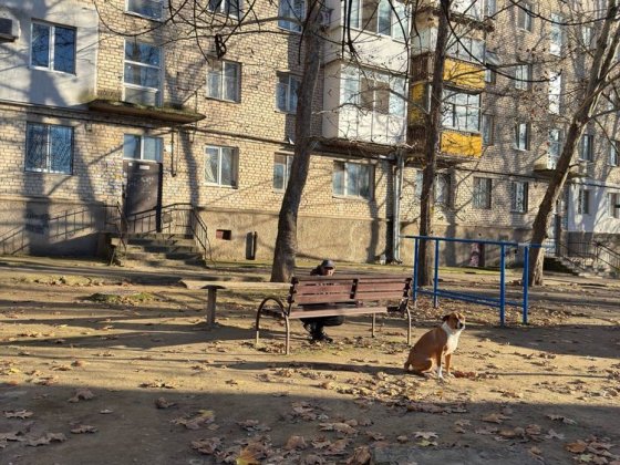 Сдаётся квартира - 3 комнаты, 4/5, 5000 (Школьная/Мельничная/ПГУ) Миколаїв