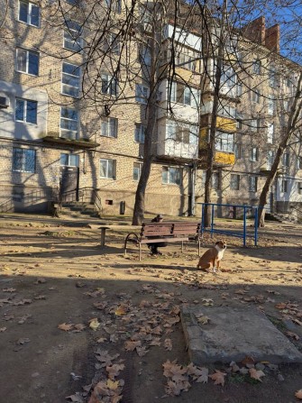 Сдаётся квартира - 3 комнаты, 4/5, 5000 (Школьная/Мельничная/ПГУ) - фото 1