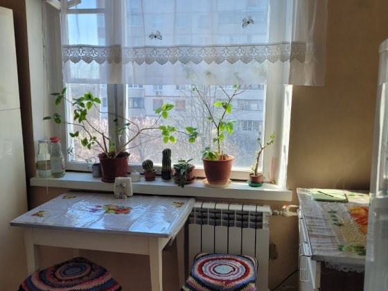 Сдам свою! 2-х комнатную квартиру на Новых Домах Харьков