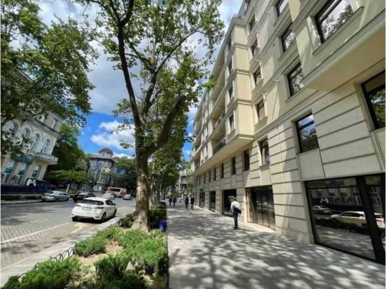 дом и квартира со светом! автономное отопление! центр города Одеса