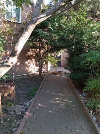 Сдается 1комнатая 13Фонтана/Львовская - фото 1