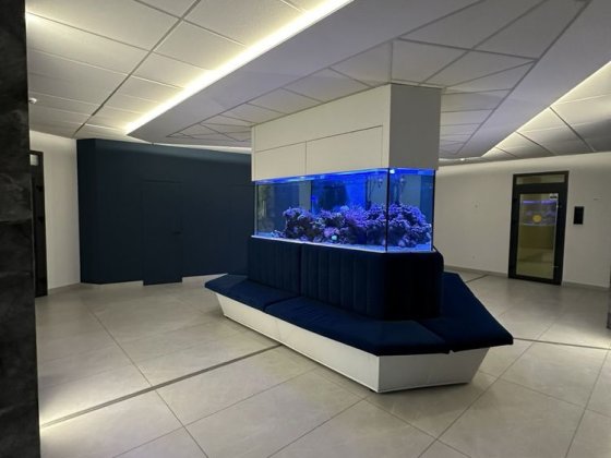 Сдам квартиру от собственика Одесса