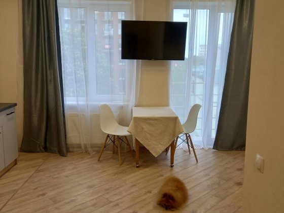 Сдам однокомнатную Одесса