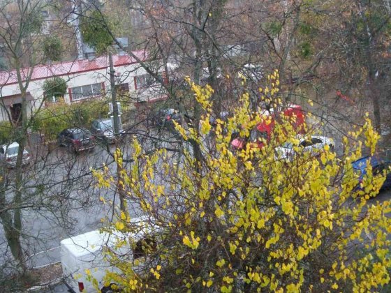 Київська область, Бучанський район, село  Софіївська Борщагівка Софіївська Борщагівка