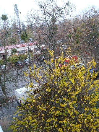 Київська область, Бучанський район, село  Софіївська Борщагівка - фото 1