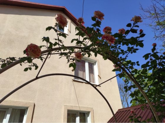 Квартира в оренду. Самбір