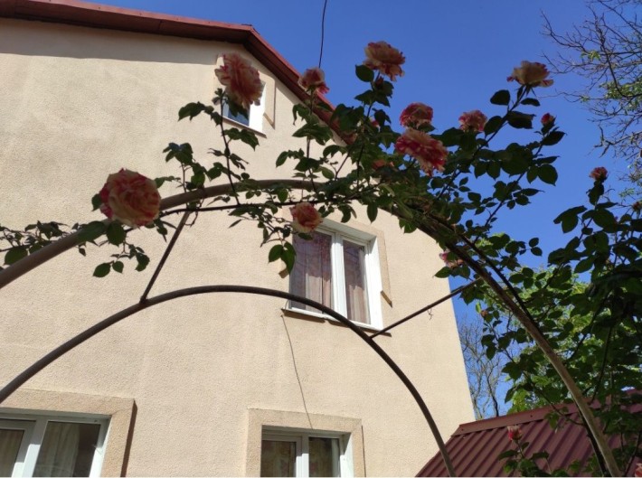 Квартира в оренду. - фото 1