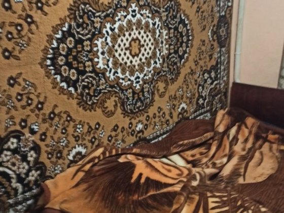 Здам будинок для працюючих людей Канев