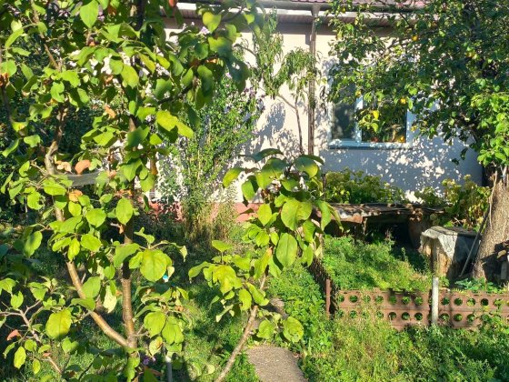 Окрема частина будинку зі своїм двориком. Комунальні враховані в ціну Ирпень