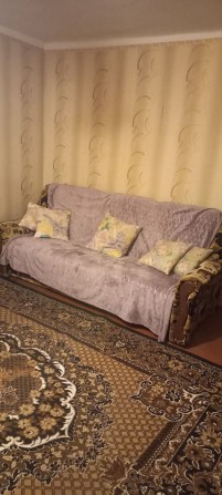 Здам окремий будинок без тварин! - фото 1